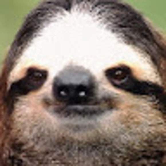 Meet your Posher, Annie - Picture 1 of 1